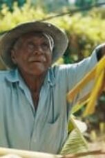 Nonton Film Live to 100: Secrets of the Blue Zones Season 1 Episode 3