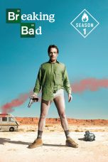 Breaking Bad Season 1 (2008)