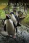 Nonton Film Our Planet Season 2 (2023)